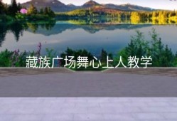 藏族广场舞心上人教学