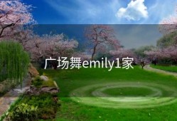 广场舞emily1家
