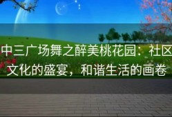 中三广场舞之醉美桃花园：社区文化的盛宴，和谐生活的画卷