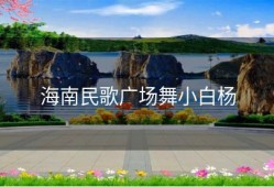 海南民歌广场舞小白杨