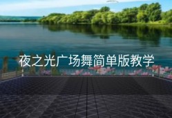 夜之光广场舞简单版教学