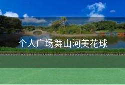 个人广场舞山河美花球