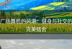 广场舞机的风潮：健身与社交的完美结合