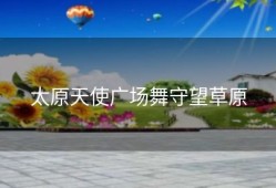 太原天使广场舞守望草原