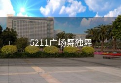 5211广场舞独舞
