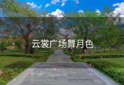 云裳广场舞月色