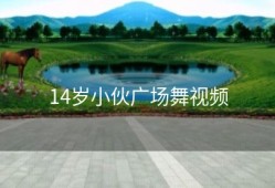 14岁小伙广场舞视频
