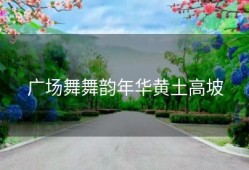 广场舞舞韵年华黄土高坡