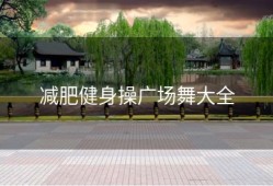 减肥健身操广场舞大全