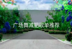 广场舞减肥歌单推荐
