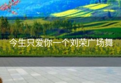 今生只爱你一个刘荣广场舞