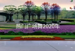 热门广场舞2020年