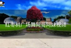 红枣树广场舞阿哥阿妹视频
