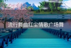 流行舞曲红尘情歌广场舞