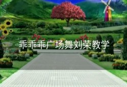 乖乖乖广场舞刘荣教学