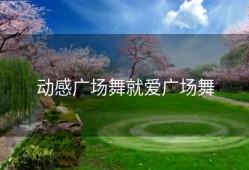 动感广场舞就爱广场舞