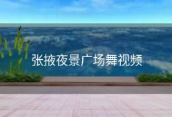 张掖夜景广场舞视频