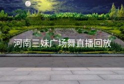 河南三妹广场舞直播回放