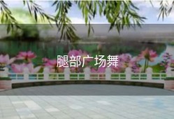 腿部广场舞