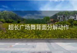 超长广场舞背面分解动作