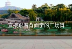 直接跟着背面学的广场舞