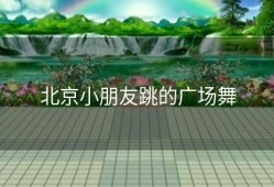 北京小朋友跳的广场舞
