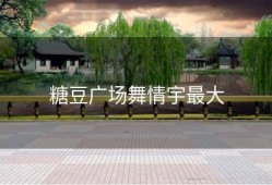 糖豆广场舞情宇最大
