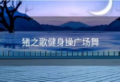猪之歌健身操广场舞