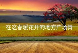 在这春暖花开的地方广场舞