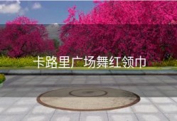 卡路里广场舞红领巾