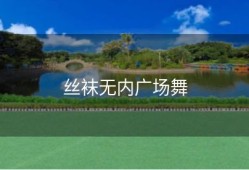 丝袜无内广场舞