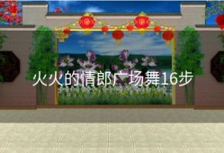 火火的情郎广场舞16步
