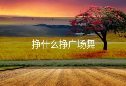 挣什么挣广场舞
