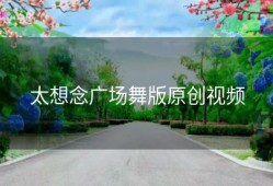 太想念广场舞版原创视频