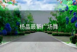 杨晶最新广场舞