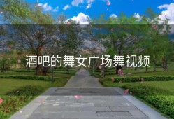 酒吧的舞女广场舞视频