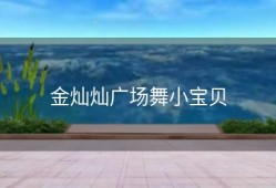 金灿灿广场舞小宝贝