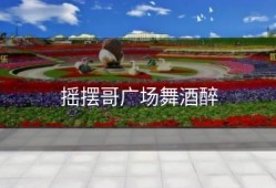 摇摆哥广场舞酒醉