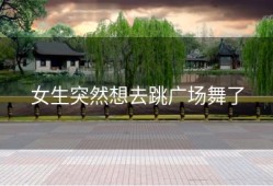 女生突然想去跳广场舞了