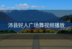 沛县好人广场舞视频播放