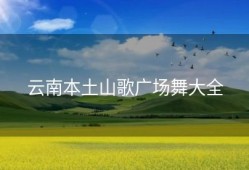 云南本土山歌广场舞大全