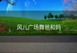 风儿广场舞爸和妈