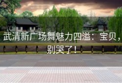 武清新广场舞魅力四溢：宝贝，别哭了！