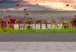 糖豆广场舞最美的梦