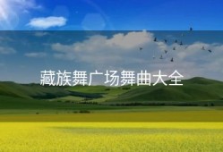 藏族舞广场舞曲大全