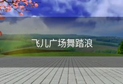 飞儿广场舞踏浪