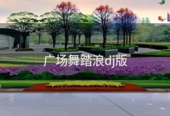 广场舞踏浪dj版