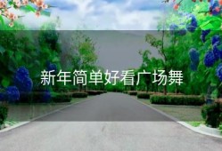 新年简单好看广场舞