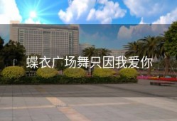 蝶衣广场舞只因我爱你