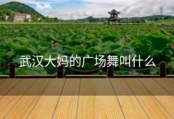 武汉大妈的广场舞叫什么